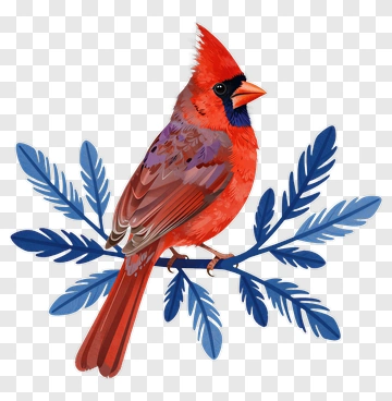 Red Cardinal On Blue Branch PNG