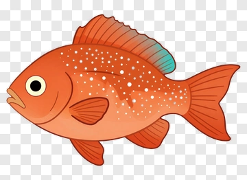 Orange Spotted Fish PNG