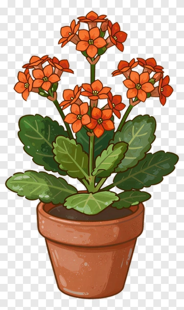 Orange Flower In Pot PNG