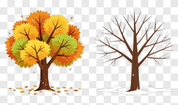 Autumn And Winter Trees Side By Side PNG