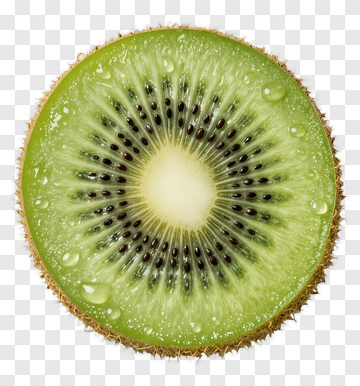 Fresh Sliced Kiwi PNG
