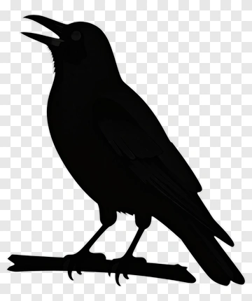 Black Crow Silhouette PNG