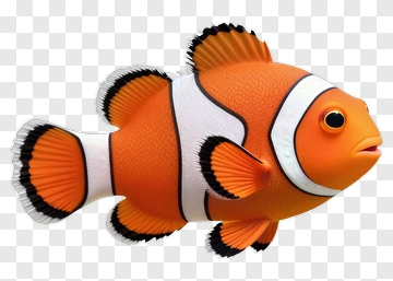 Clownfish PNG