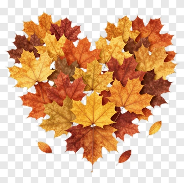 Heart Shaped Autumn Leaves Composition PNG