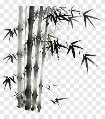 Bamboo In Ink Wash Painting PNG