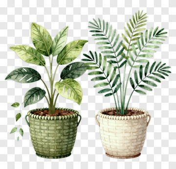 Two Potted Plants In Baskets PNG