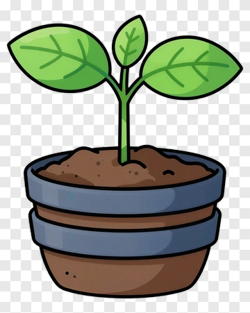 Cartoon Seedling In Pot PNG