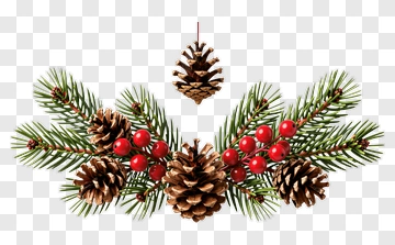 Christmas Pinecone And Berry Decoration PNG