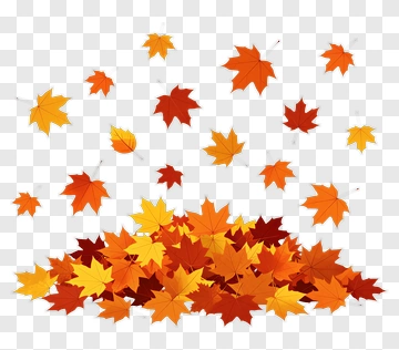 Falling Leaves And Leaf Pile PNG