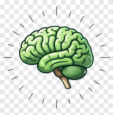 Green Brain Illustration PNG
