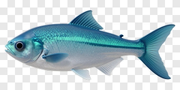 Blue Fish With Shiny Scales PNG