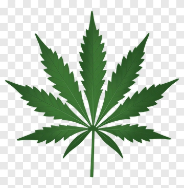 Cannabis Leaf PNG