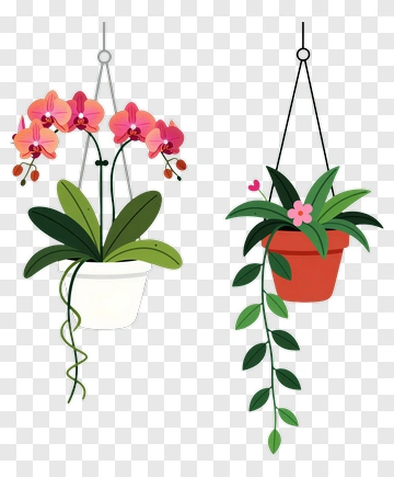 Hanging Orchid And Flower Plant PNG