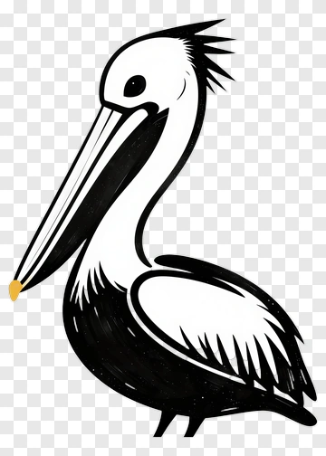 Hand Drawn Pelican PNG