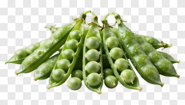 Fresh Pea Pods With Water Droplets PNG