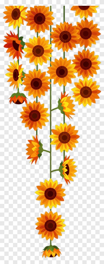 Sunflower Bouquet PNG