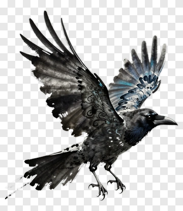 Crow In Flight PNG