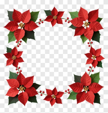 Red Poinsettia Holiday Frame PNG