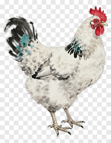 Watercolor Rooster PNG