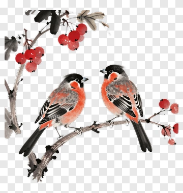 Two Birds With Red Berries PNG