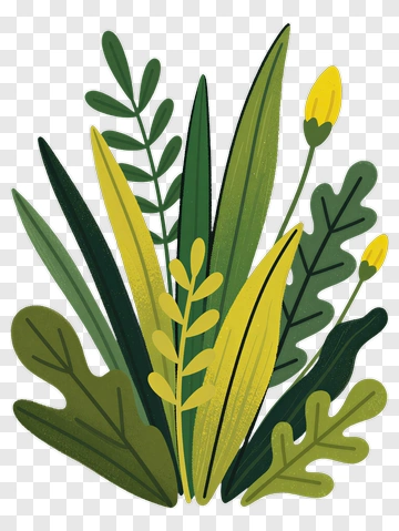 Botanical Illustration Of Leaves And Flowers PNG