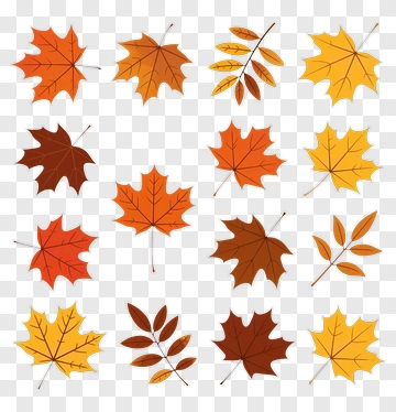 Autumn Leaves Collection PNG