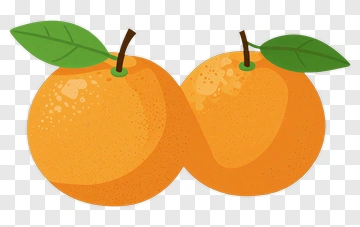 Two Oranges With Leaves PNG