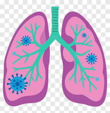 Lungs With Viruses PNG