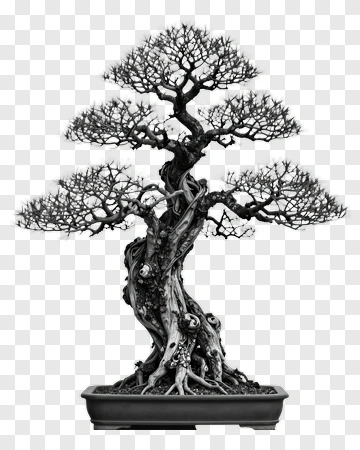 Bonsai Tree In Monochrome PNG