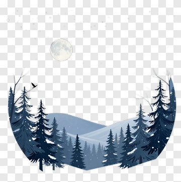 Winter Night Forest Under Moonlight PNG