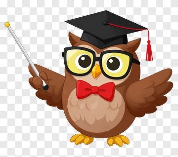 Cartoon Owl In Graduation Attire PNG