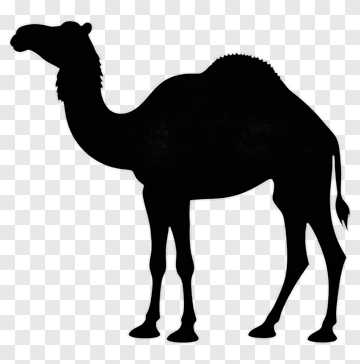 Black Camel Silhouette PNG