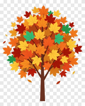 Autumn Maple Tree With Colorful Leaves PNG