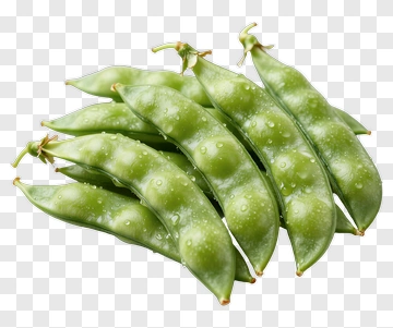 Fresh Green Pea Pod PNG