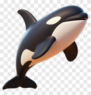 Orca PNG