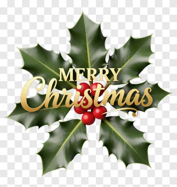Merry Christmas With Holly And Berries PNG