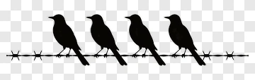 Four Birds On Barbed Wire PNG