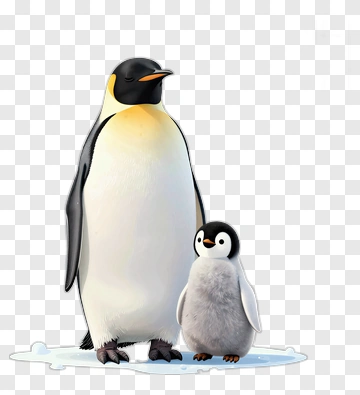 Adult And Baby Penguin Standing Together PNG