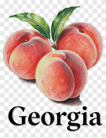 Georgia Peaches With Leaf PNG