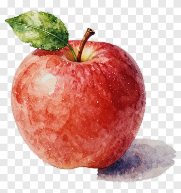 Watercolor Apple With Leaf PNG