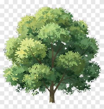 Flat Illustrated Tree PNG