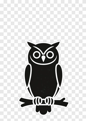 Black And White Owl On Branch PNG