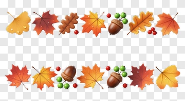 Autumn Leaves And Acorns PNG
