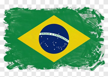 Brazilian Flag Hand Drawn Style PNG