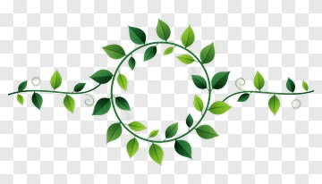 Vine With Leaves Design PNG