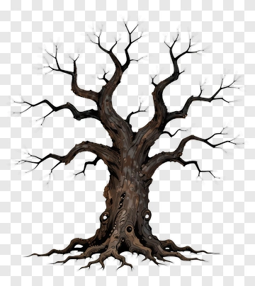 Gnarled Old Tree PNG