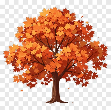Autumn Maple Tree PNG