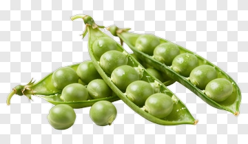 Fresh Green Peas In Pod PNG