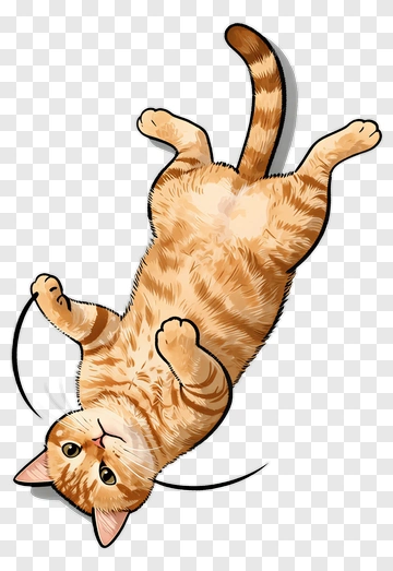 Orange Tabby Cat Lying On Back PNG
