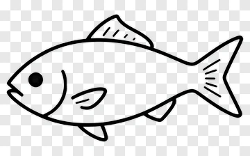 Hand-drawn Fish Outline PNG